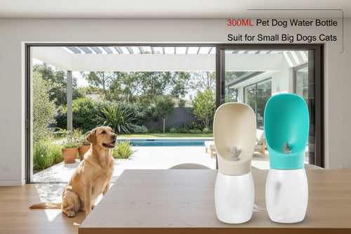 300ML Pet Dg Water Bottle 